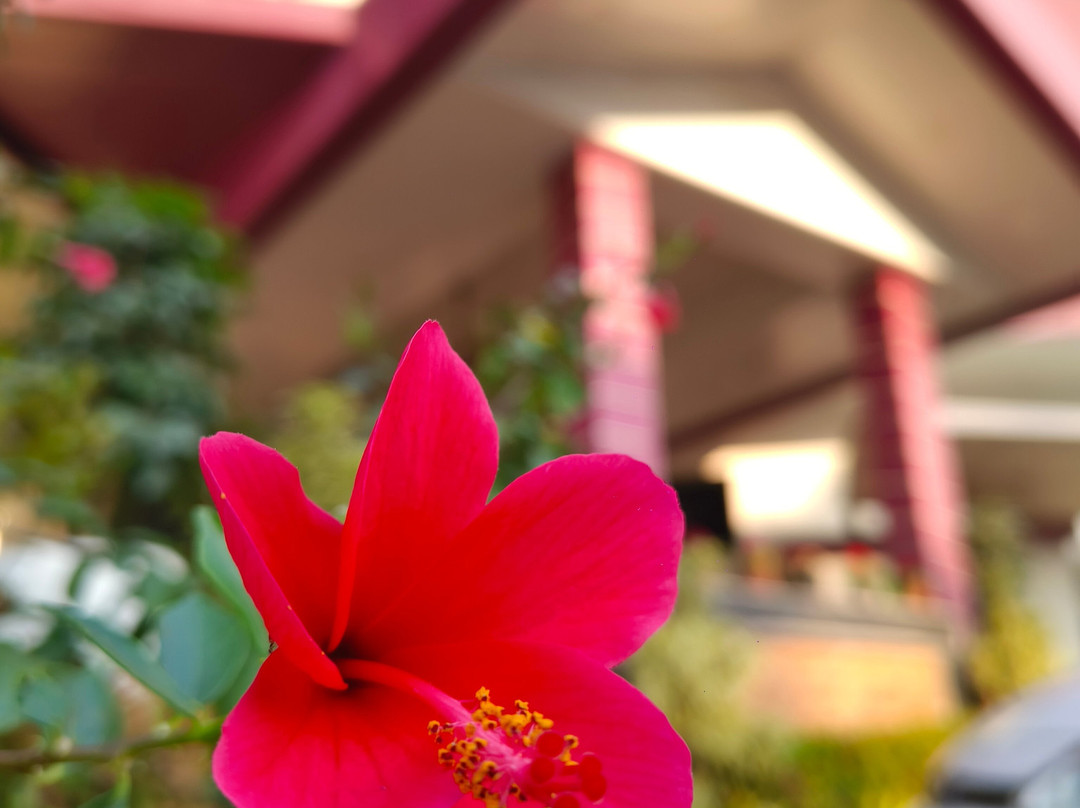 Imperial Grande主图