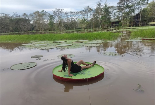 Amazon Tour Connections-莱蒂西亚必去景点
