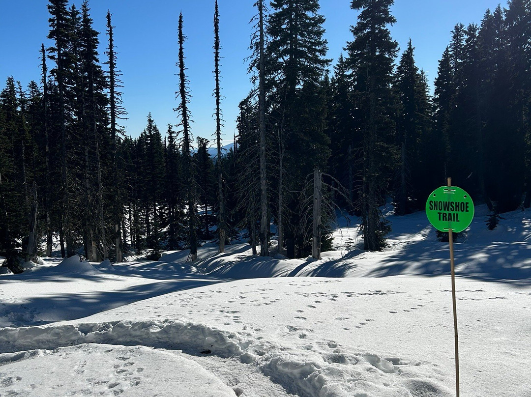 Mount Hood Meadows-Parkdale必去景点