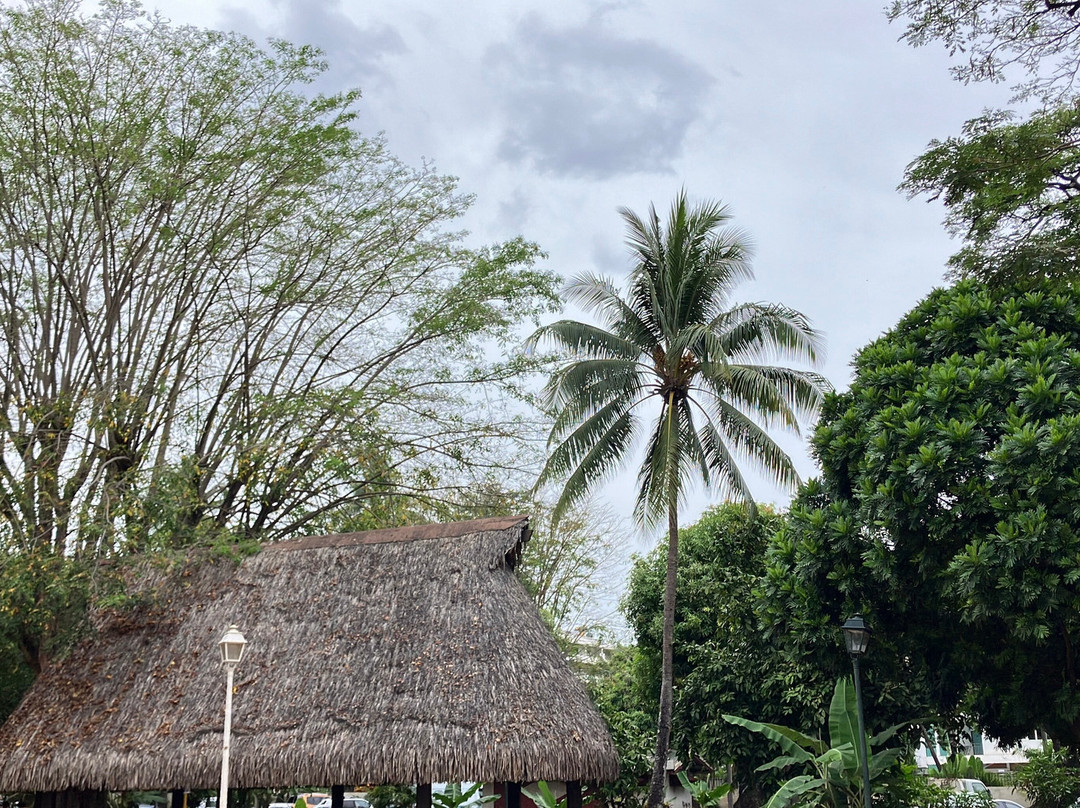 Bougainville Park景点图片