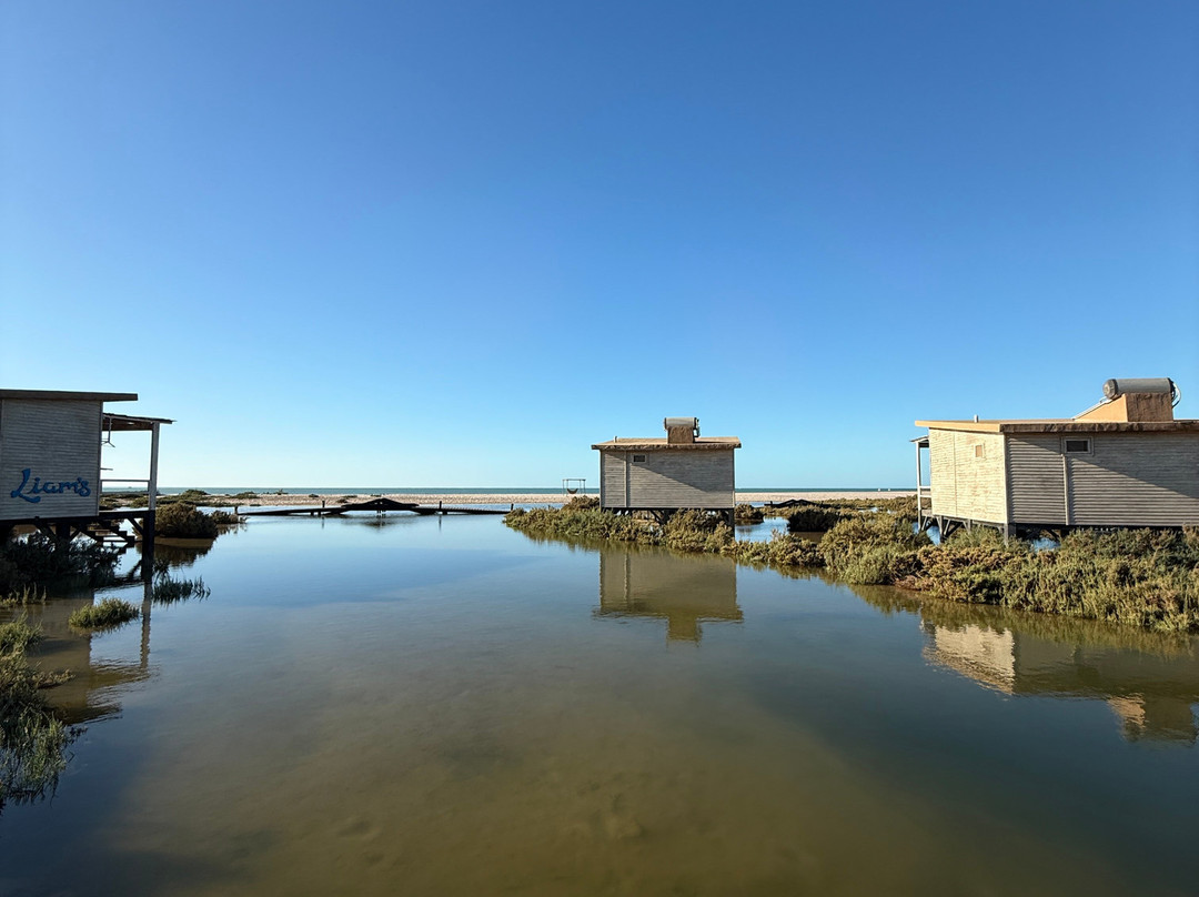 Ocean Vagabond Lassarga主图