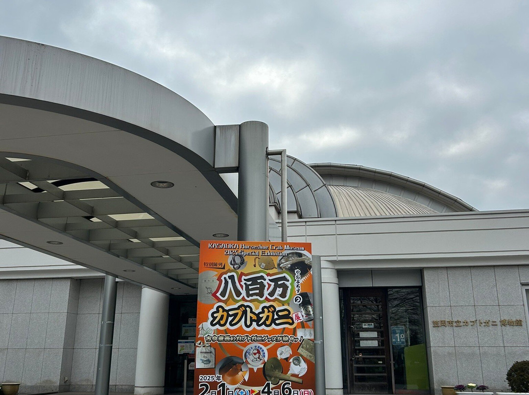 Hourseshoe Crab Museum-笠冈市必去景点