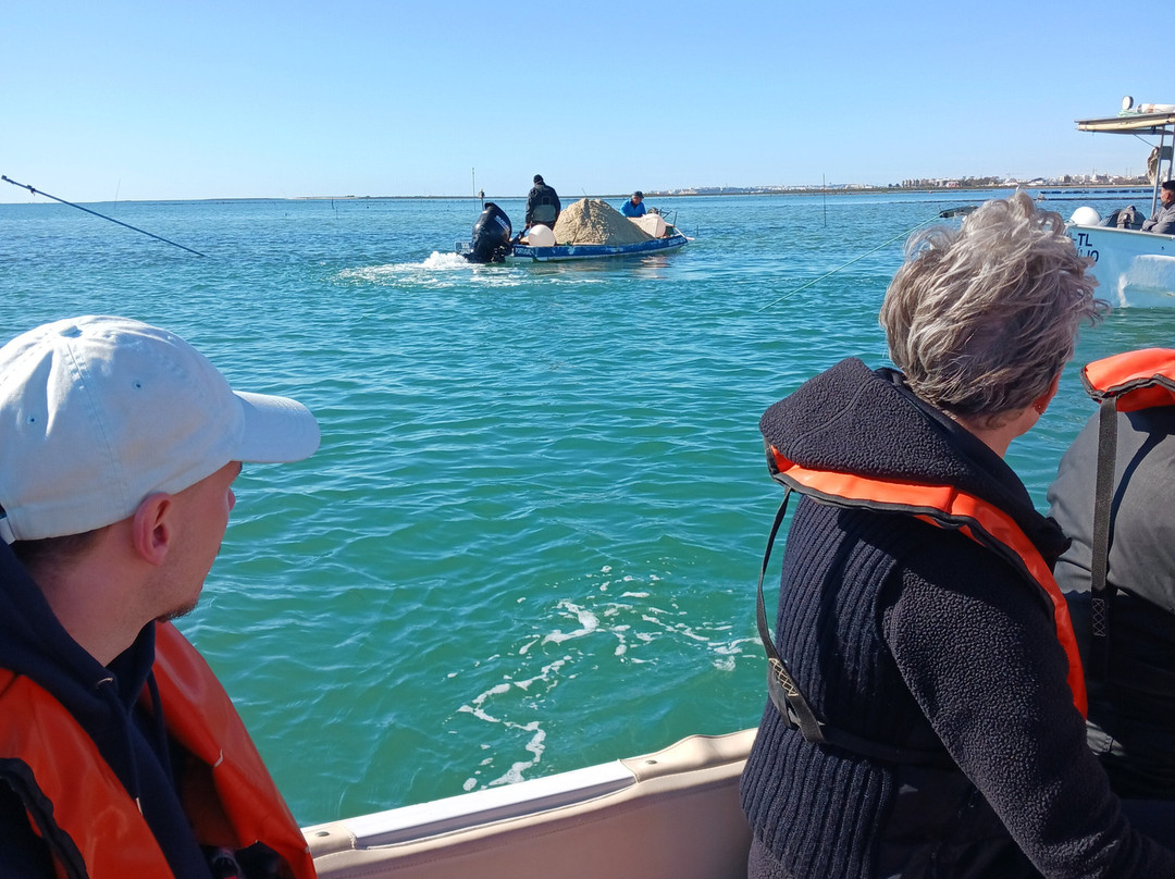 ODYSSEY - Ria Formosa Boat Tours景点图片