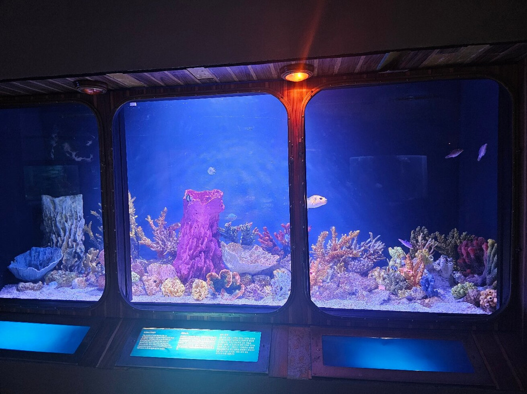 海底世界-杜梦湾必去景点