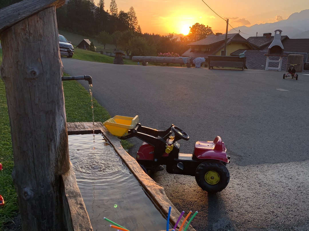 Chalets Und Apartments Hauserhof主图