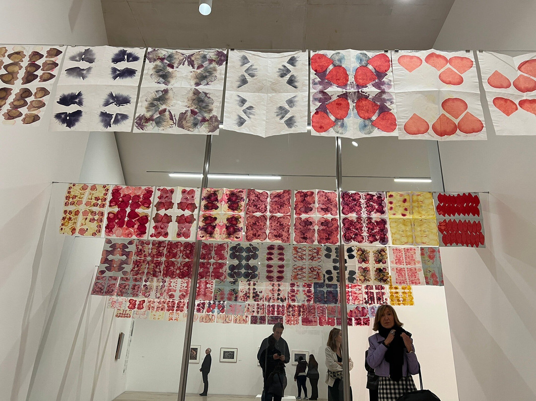 Museo Jumex-墨西哥城必去景点