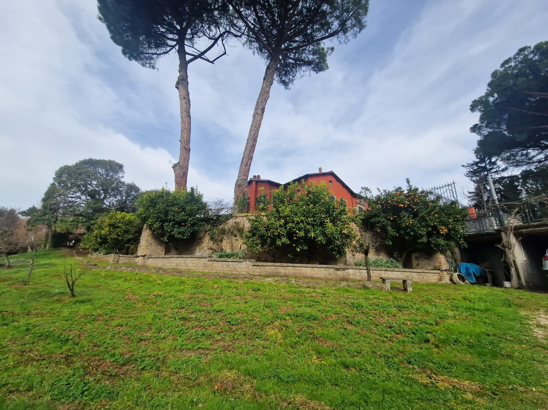 Vigna dell'Agrifoglio - Bed & Breakfast主图
