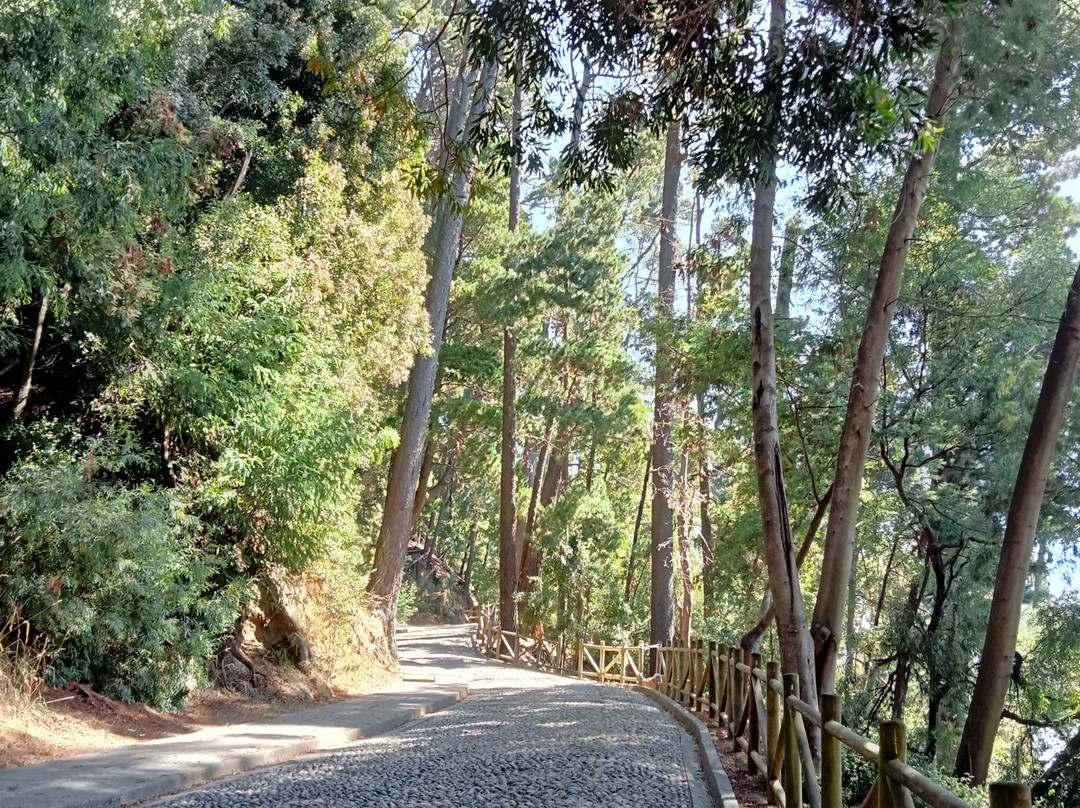 Cerro Caracol-康塞普西翁必去景点