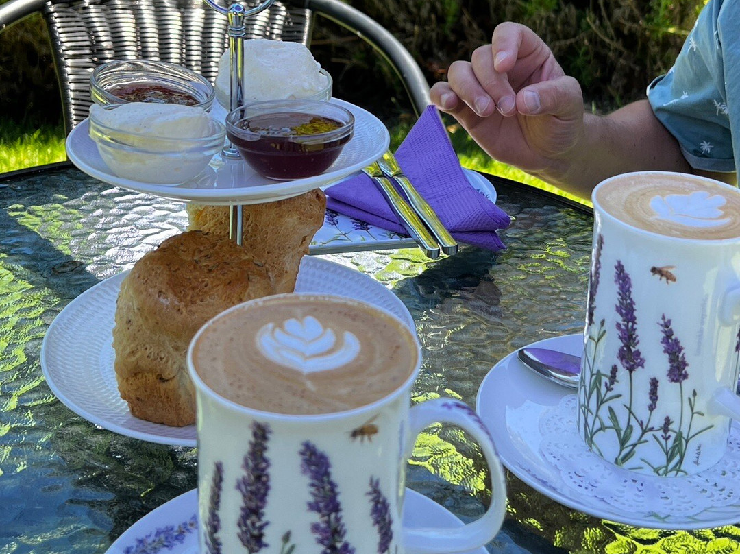 Cape Lavender Tea House-雅林角必去景点