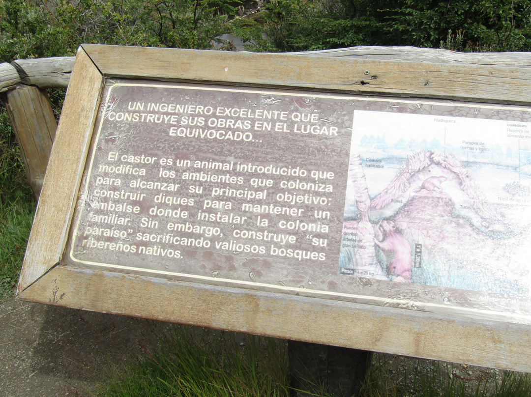 Senda Castorera景点图片