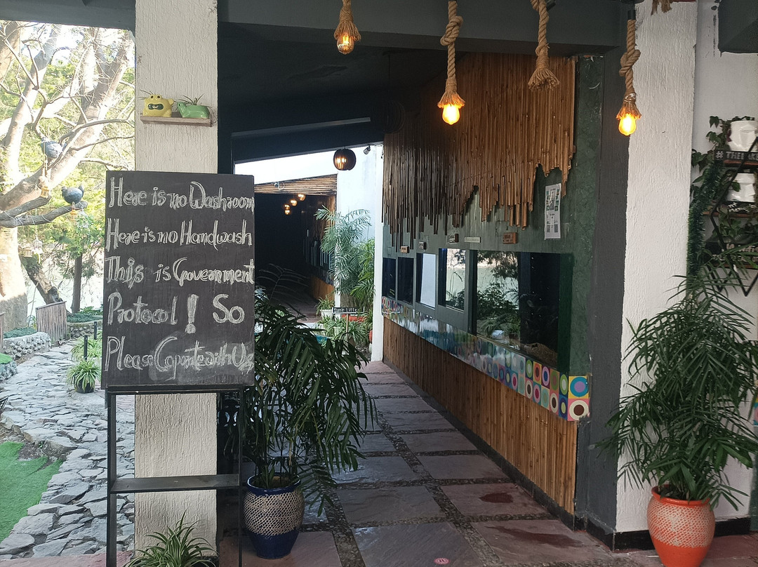 Aquarium Island Café景点图片