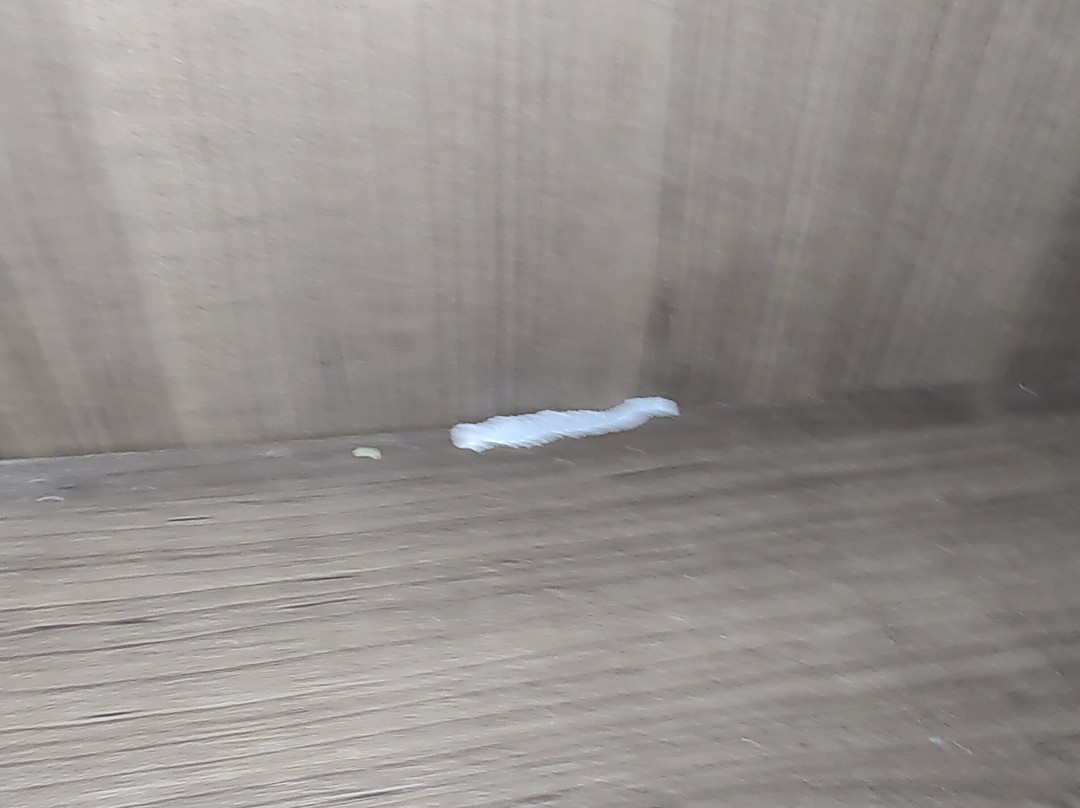 Holiday Inn Express & Suites Lenoir City (knoxville Area) By IHG主图