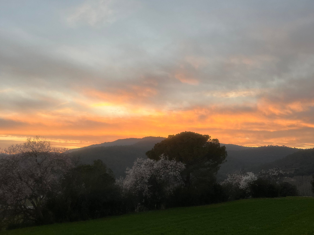 Hotel La Placa De Madremanya主图