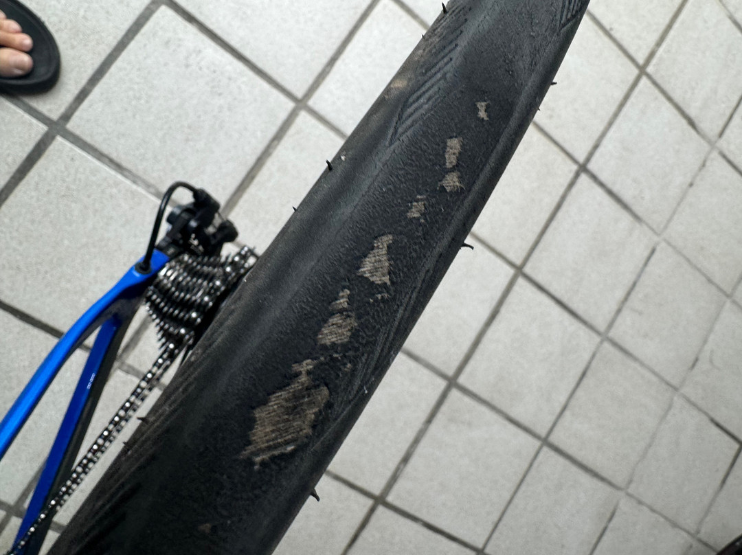 Cycle Fiesta景点图片