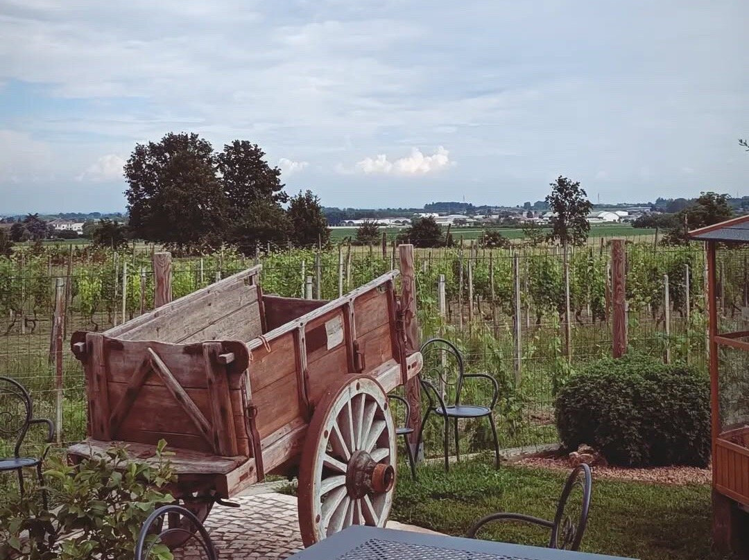 Cascina Granello Di Senape景点图片
