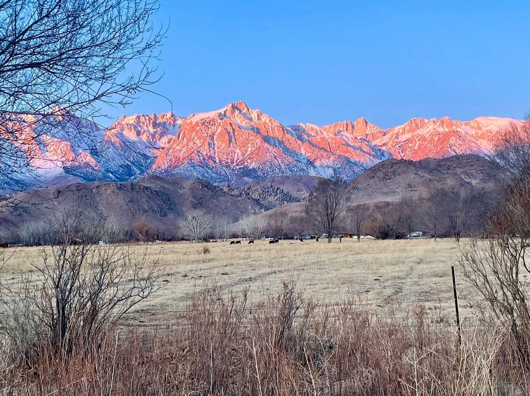 Best Western Frontier Motel主图