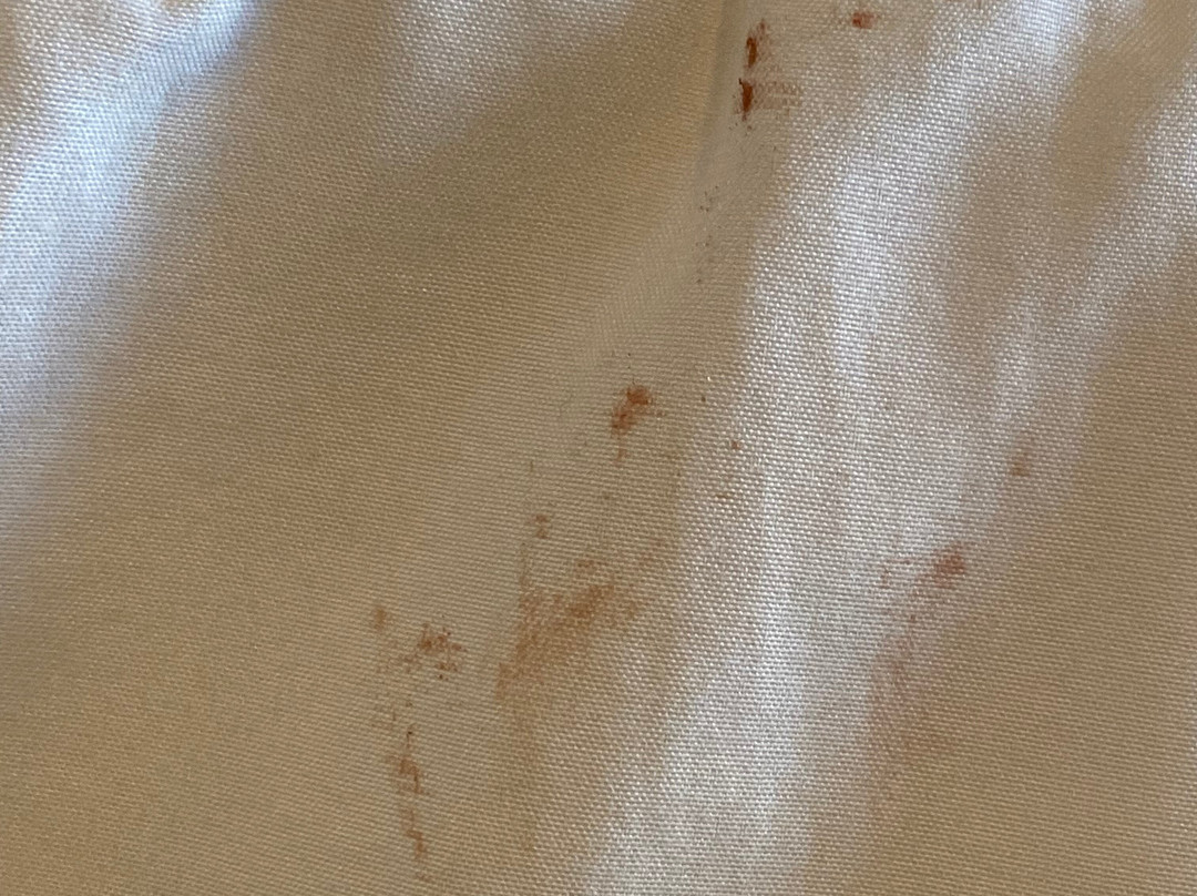 卡德兰特酒店主图