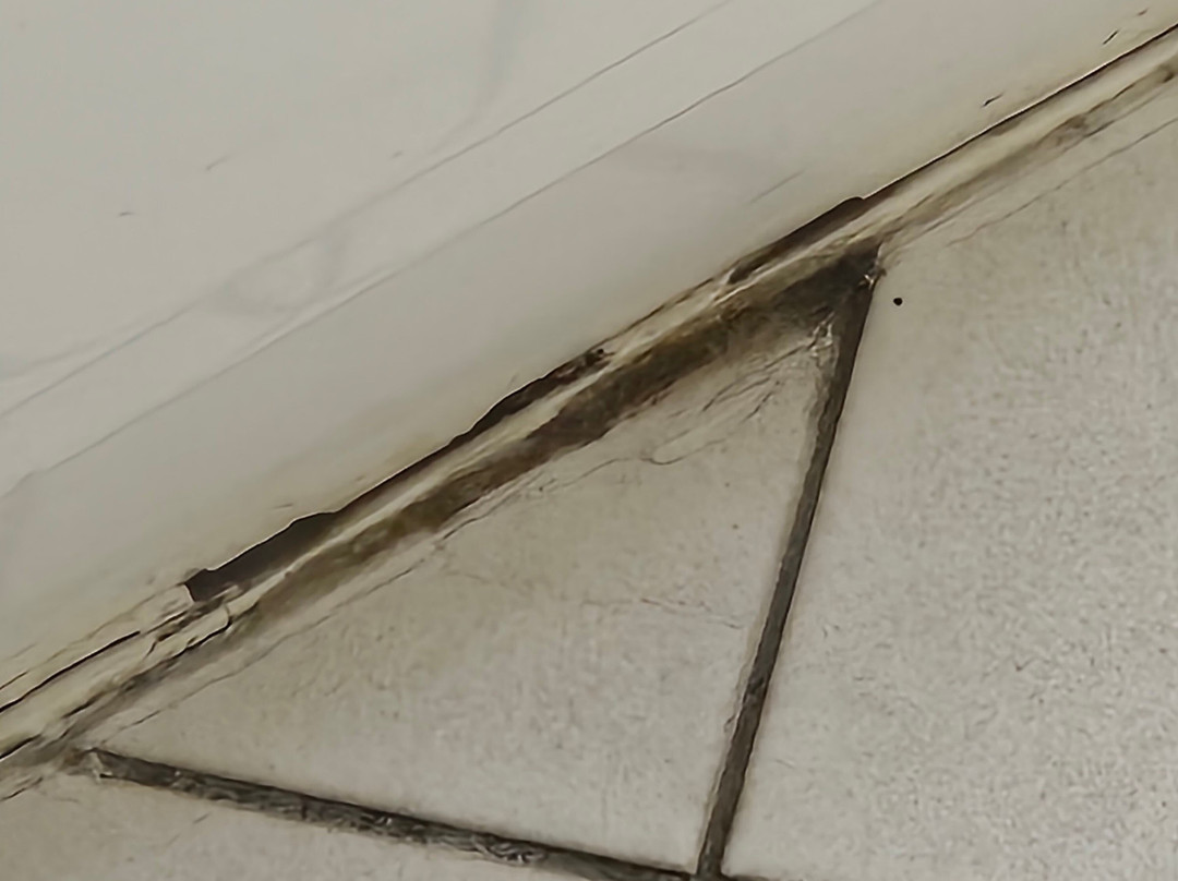 Pavilion Motel & Conference Centre主图