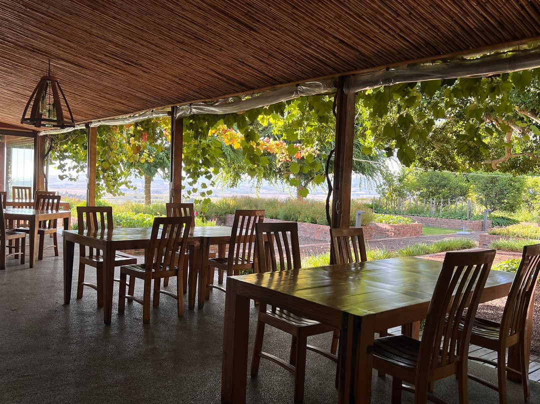 Longridge Wine Estate-西索美塞必去景点