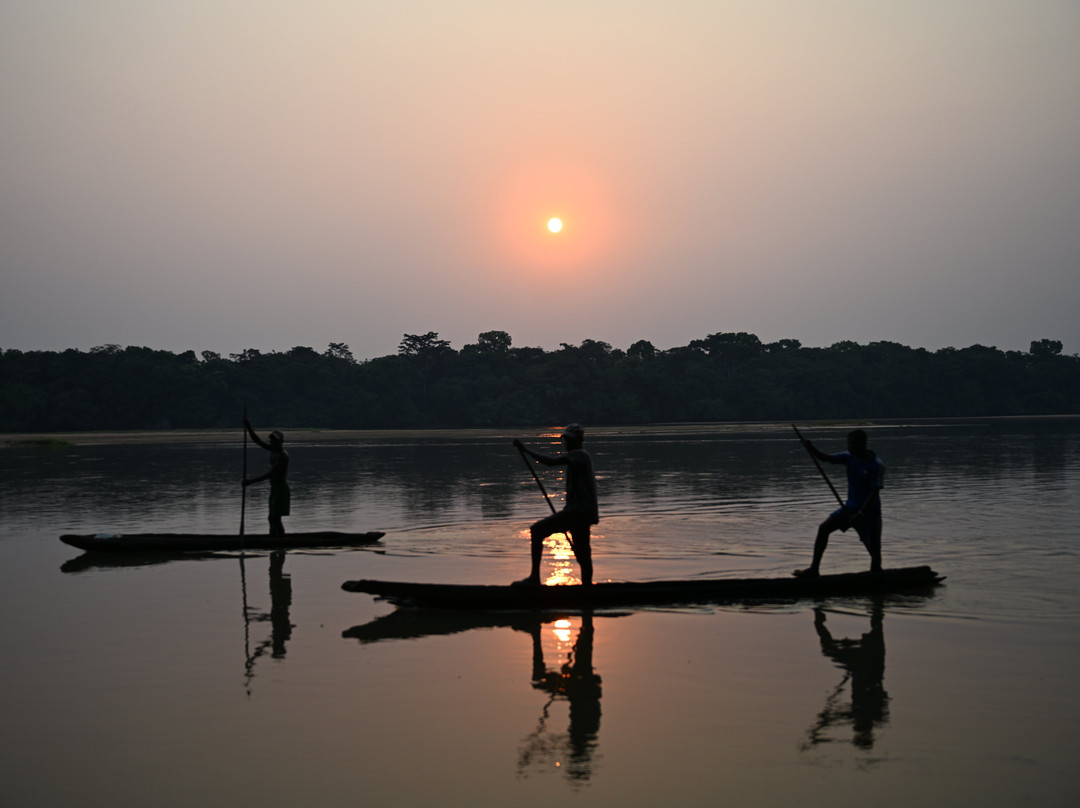 Dzanga-Sangha Reserve-Bayanga必去景点