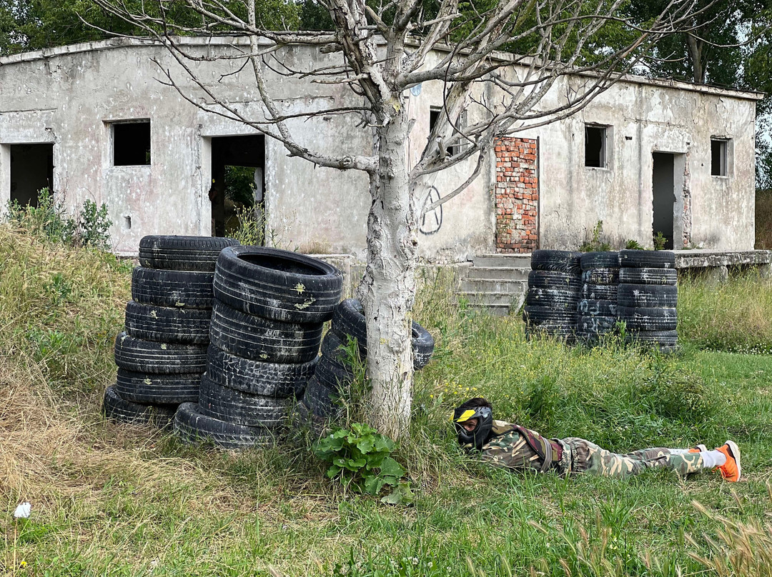 Arena Paintball Timisoara景点图片