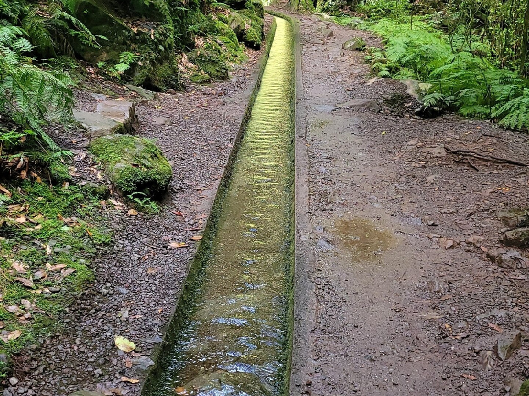 Levada Do Reí-Sao Jorge必去景点