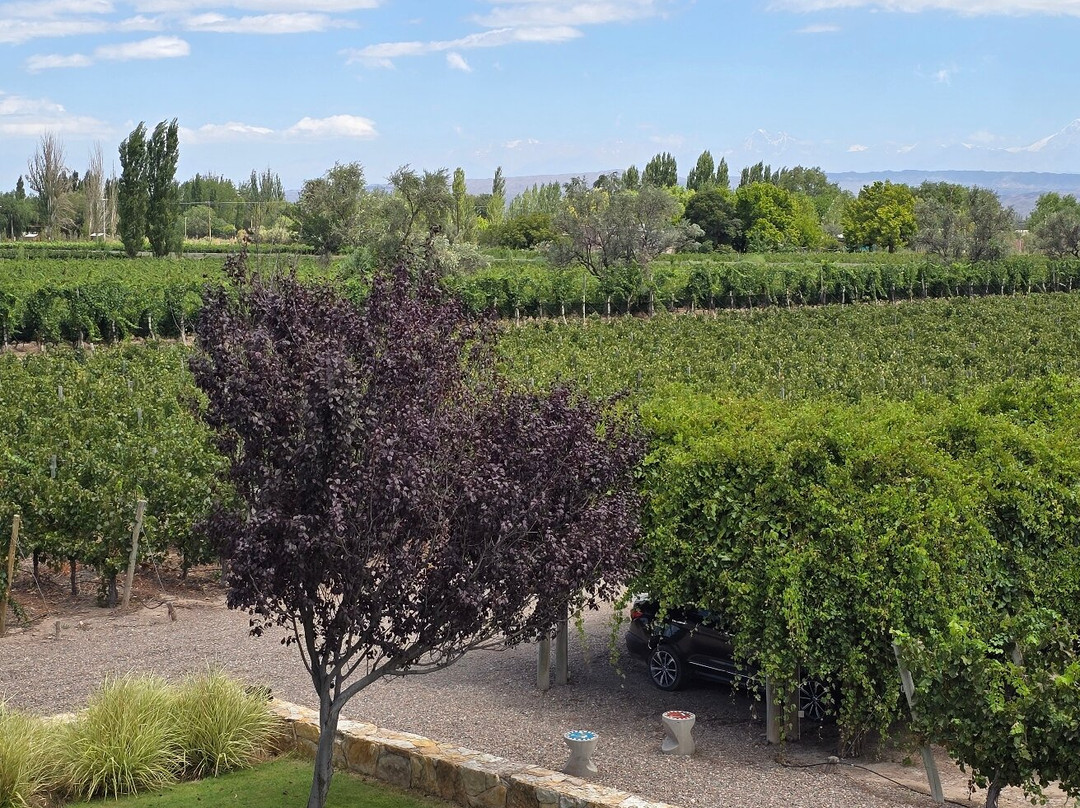 Bodega Cruzat. Bubbles Experience景点图片