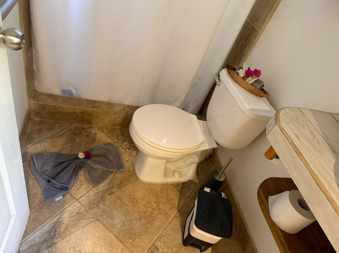 Samara Palm Lodge主图