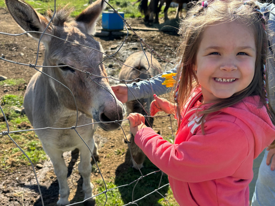 Belding Hill Farms-Hampton必去景点