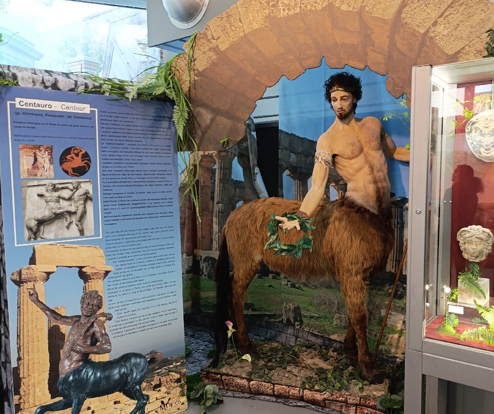 Museo di Storia Naturale del Mediterraneo景点图片