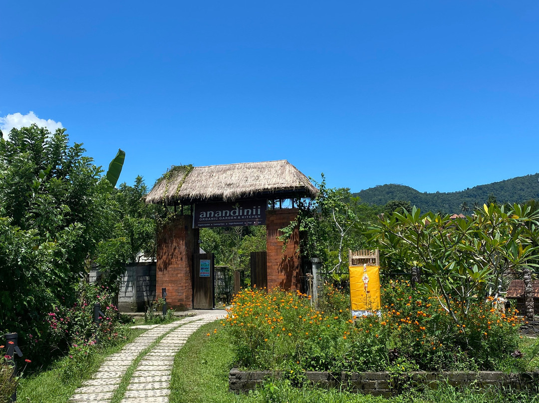 Anandinii Organic Garden & Kitchen景点图片