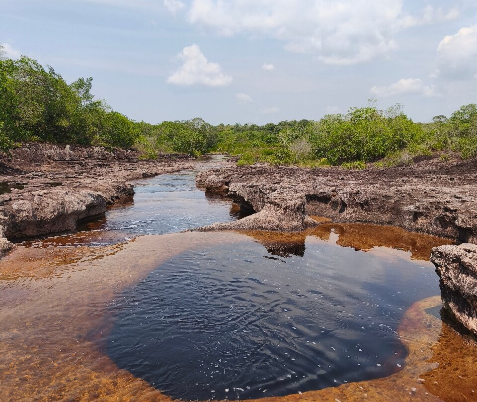 Alojamiento Rural Entre el Llano y la Selva