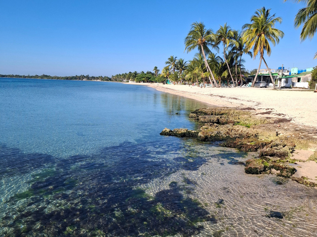 Playa Larga景点图片