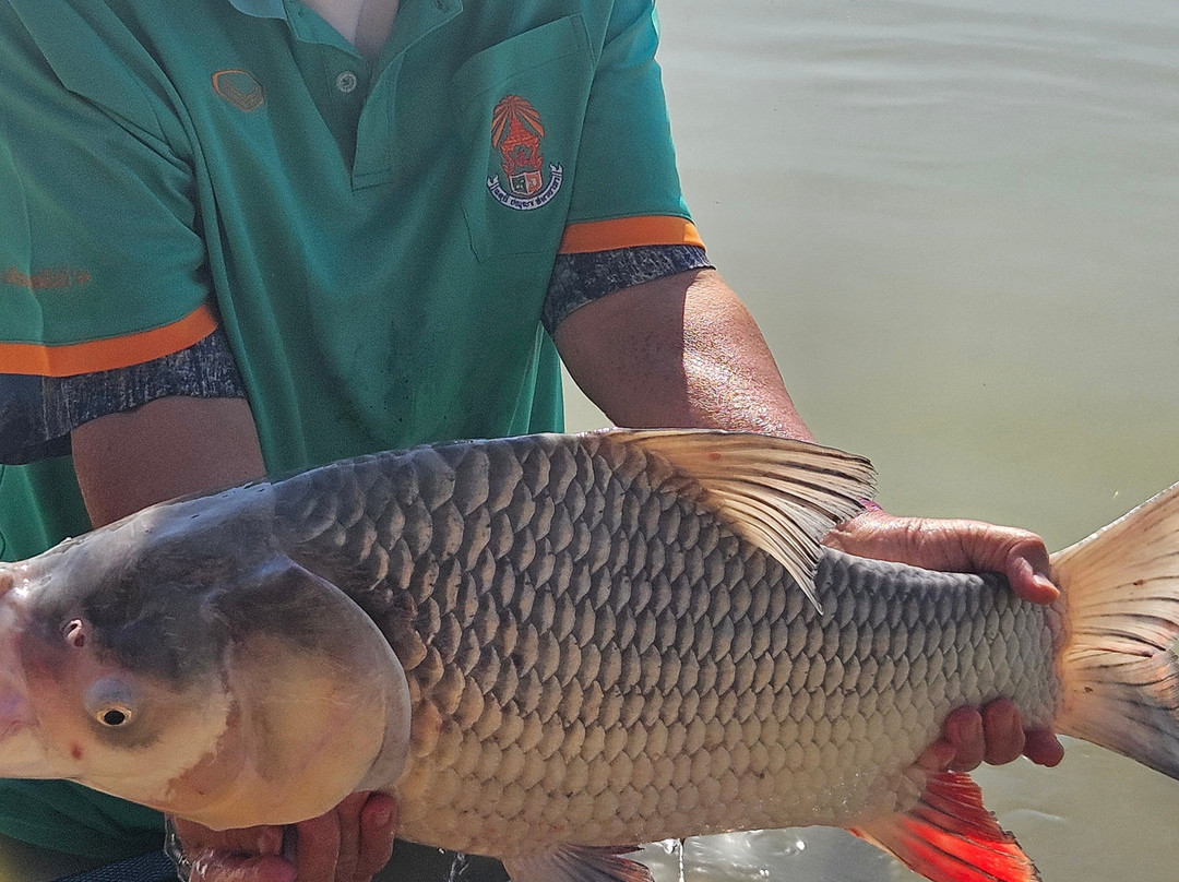 Maybreeze Fishery-加拉信必去景点