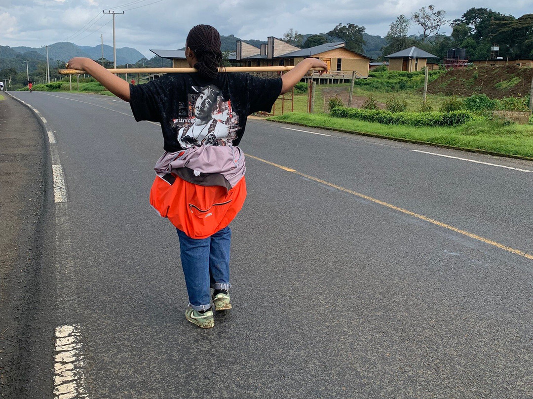 Nyungwe National Park - Rwanda景点图片