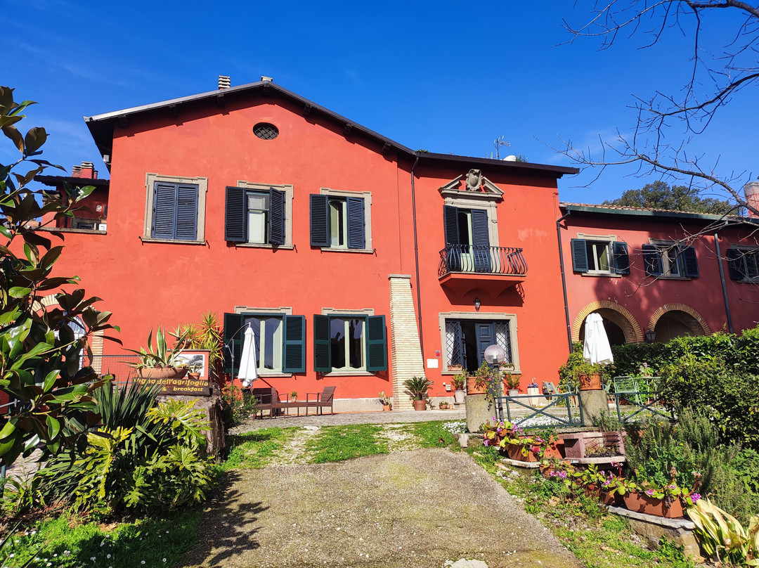 Vigna dell'Agrifoglio - Bed & Breakfast主图