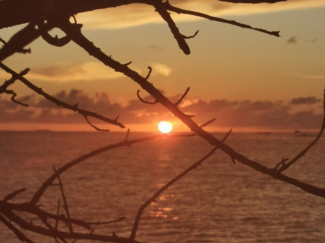 Other Divers at Huraa-呼拉岛必去景点