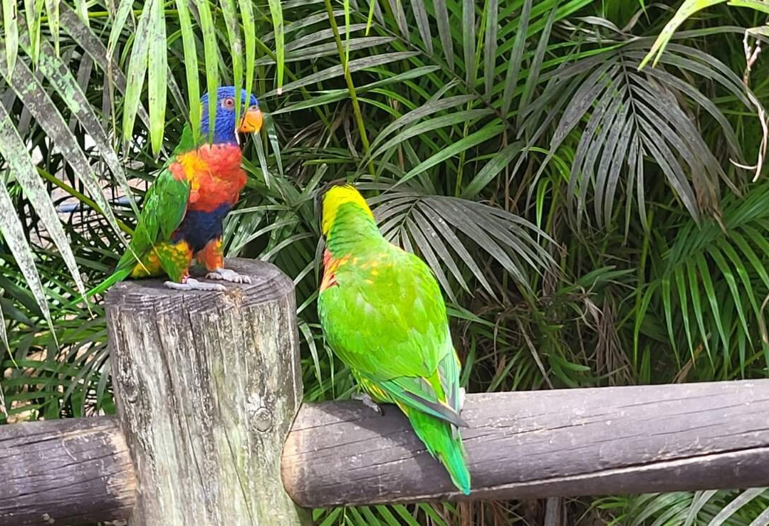 加勒比海湾度假村主图