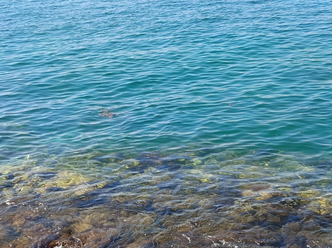 Pousada Cruzoé主图