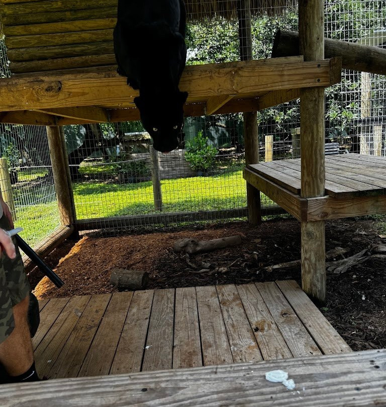 Redland Conservation Center-霍姆斯特德必去景点