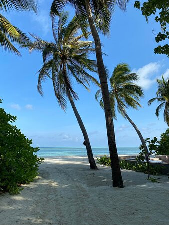 马尔代夫可可尼度假村主图