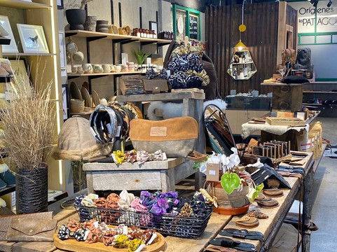 Casa Orígenes De La Patagonia-蓬塔阿雷纳斯必去景点