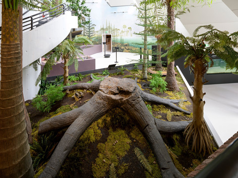 Museum Am Schölerberg-奥斯纳布吕克必去景点