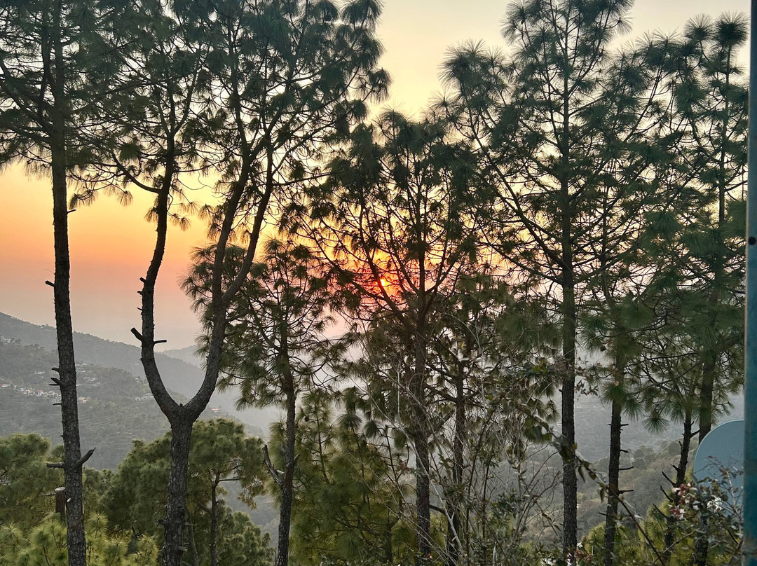 Baikunth Resort Kasauli By Leisure Hotels主图