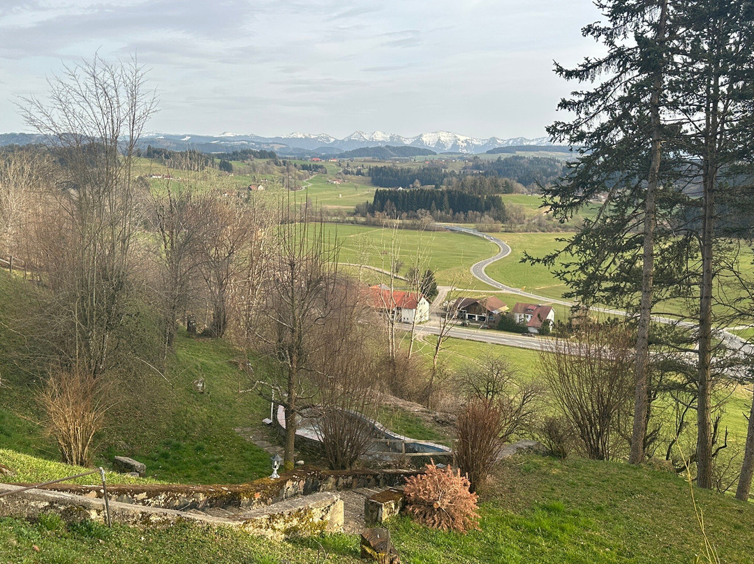 Hotel Gasthof Zur Rose主图