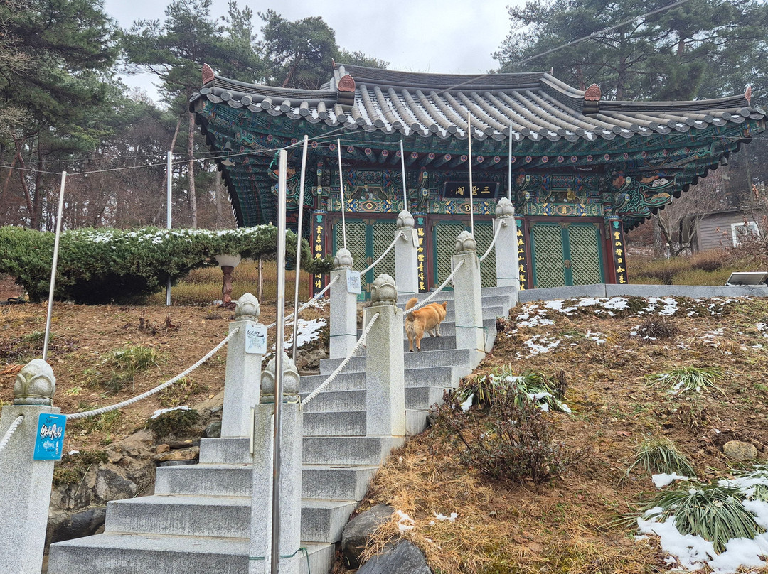Songnimsa Temple-世宗市必去景点