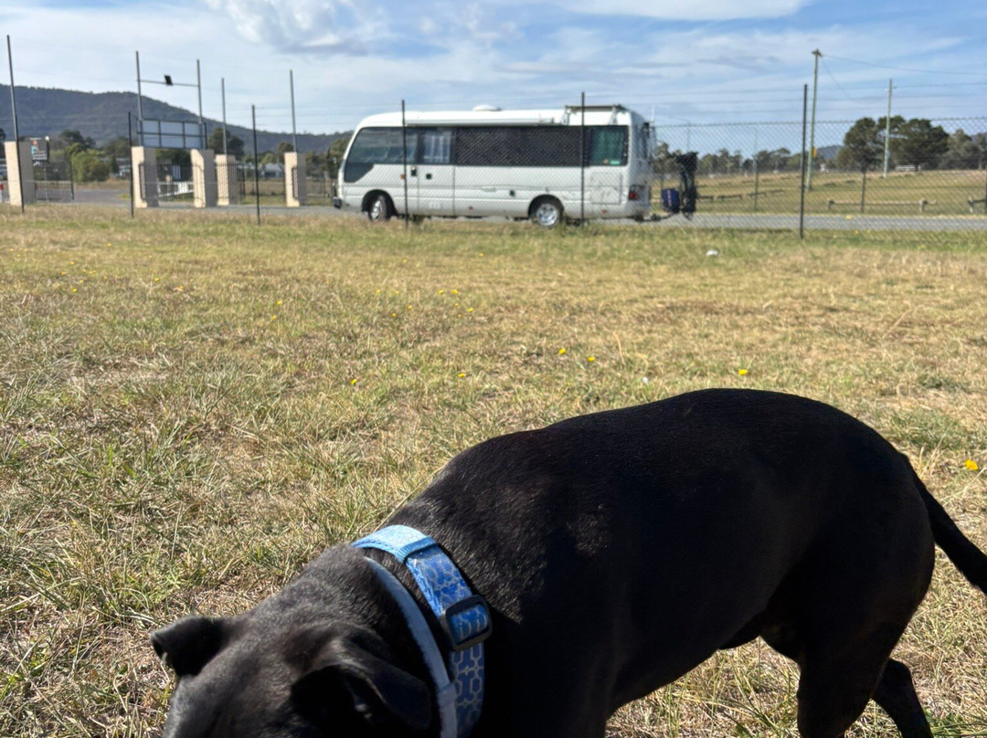 Bredbo Inn Hotel主图