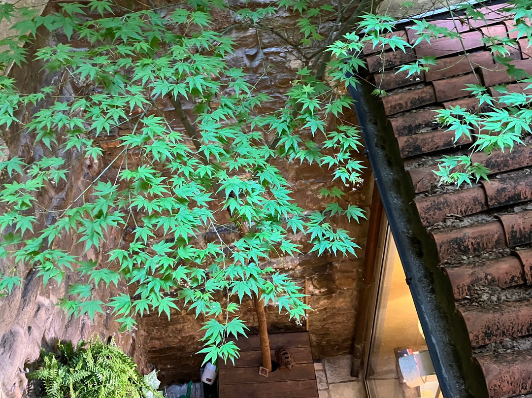 阿尔贝罗纳斯科斯塔酒店主图