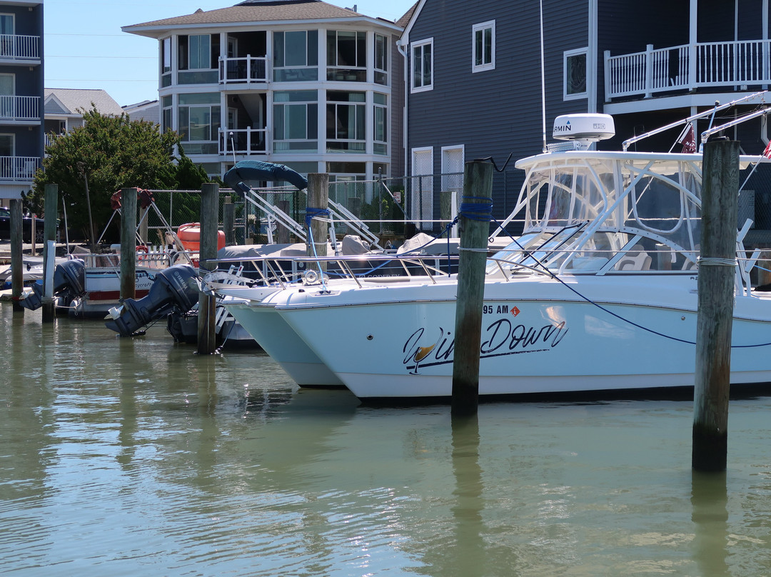 Rehoboth Bay Marina-Dewey Beach必去景点