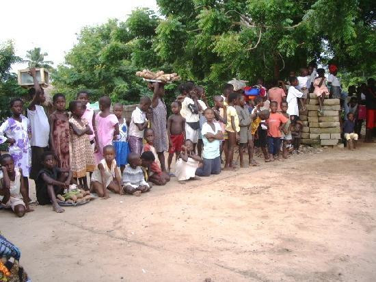 The Almond Tree Guest House主图